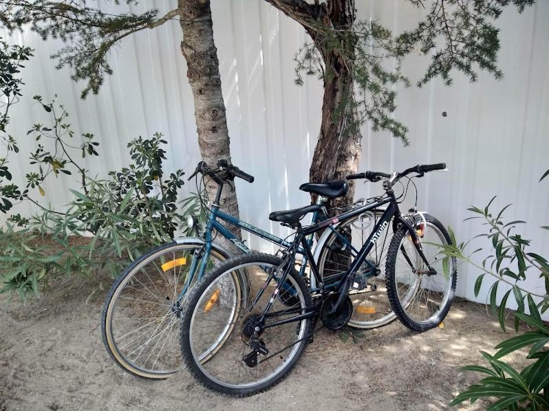 Maison Jardin Wifi - Climatisation - 100 M Plage Sauvage - 20 Min Perpignan 托雷伊 外观 照片