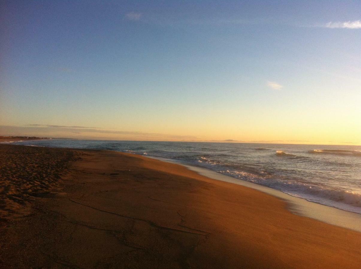 Maison Jardin Wifi - Climatisation - 100 M Plage Sauvage - 20 Min Perpignan 托雷伊 外观 照片
