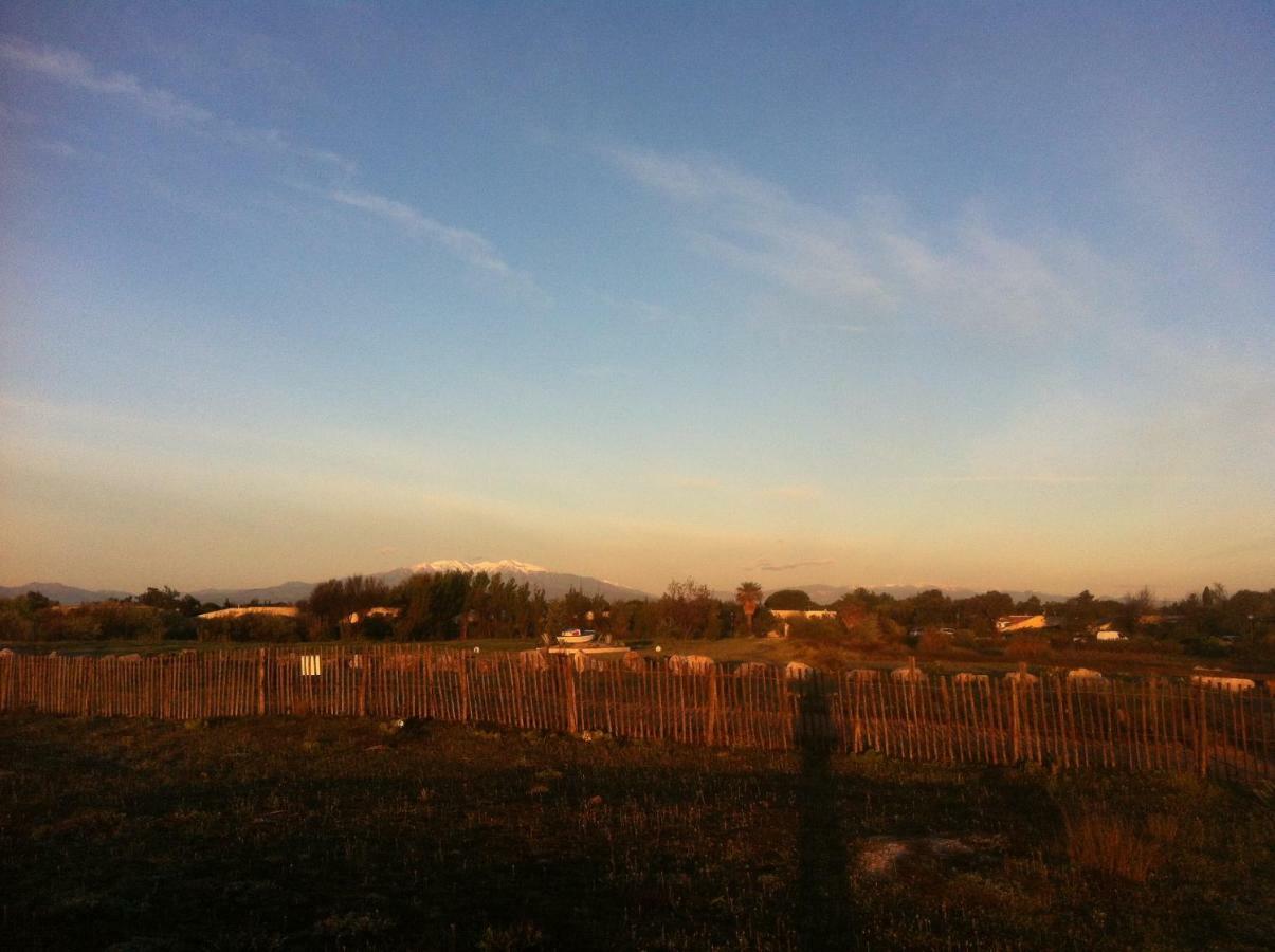 Maison Jardin Wifi - Climatisation - 100 M Plage Sauvage - 20 Min Perpignan 托雷伊 外观 照片
