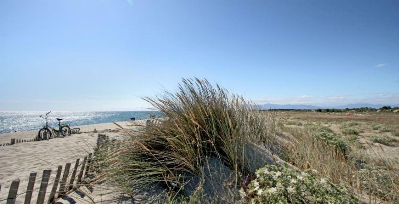 Maison Jardin Wifi - Climatisation - 100 M Plage Sauvage - 20 Min Perpignan 托雷伊 外观 照片