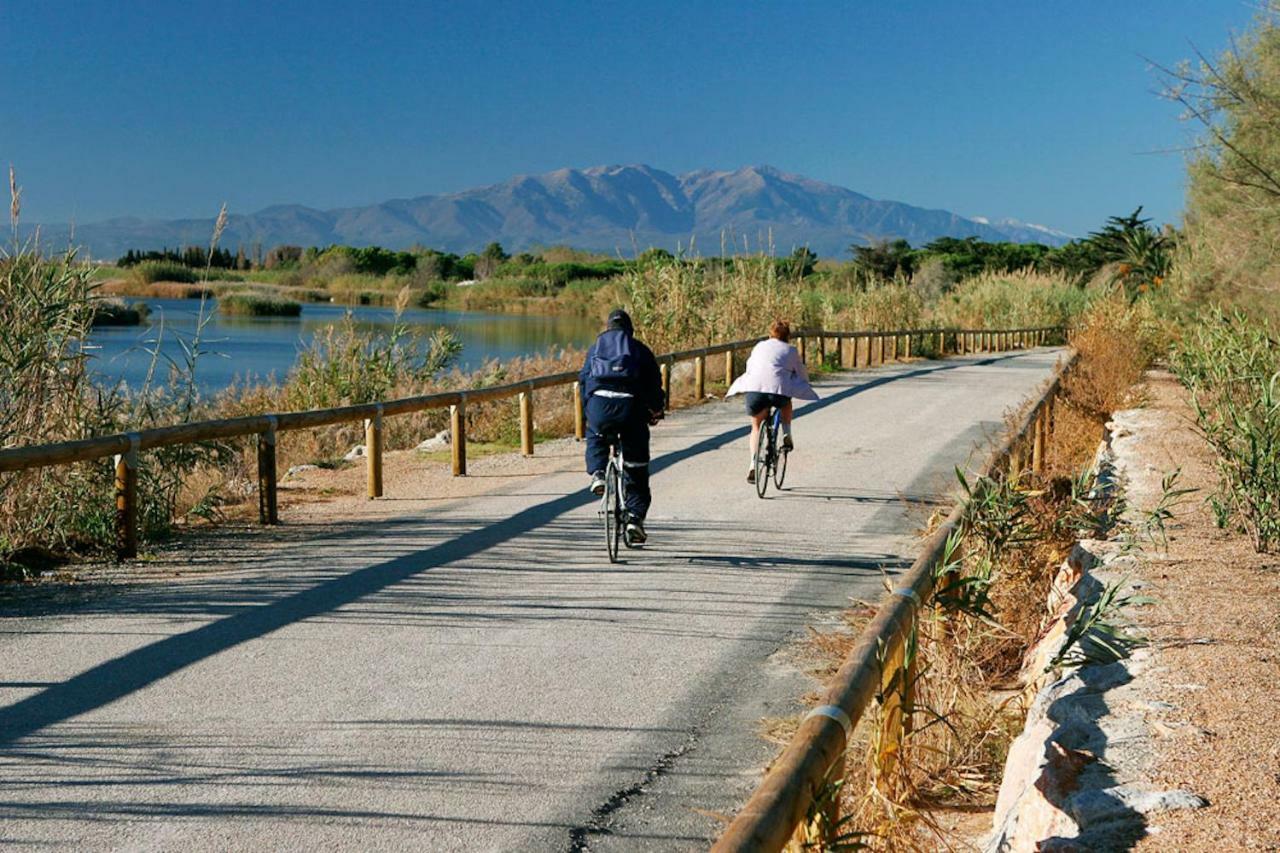 Maison Jardin Wifi - Climatisation - 100 M Plage Sauvage - 20 Min Perpignan 托雷伊 外观 照片