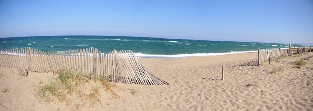 Maison Jardin Wifi - Climatisation - 100 M Plage Sauvage - 20 Min Perpignan 托雷伊 外观 照片